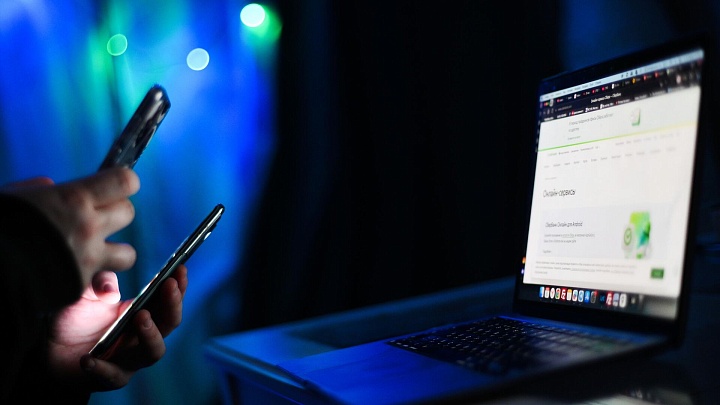 Исследование: четверть компаний сталкивались с убытками из-за мошенников