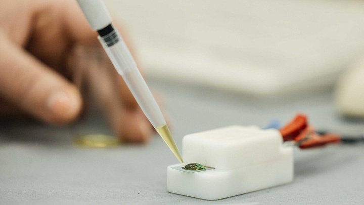 В России создали сверхчувствительный сенсор для поиска пестицидов в пище